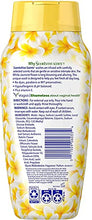 Load image into Gallery viewer, Vagisil Scentsitive Scents Daily Intimate Feminine Wash for Women - White Jasmine, Gynecologist Tested, Fresh and Gentle on Skin, 12 Ounce, Pack of 3

