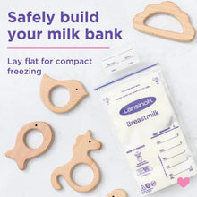 Load image into Gallery viewer, Lansinoh Breastmilk Storage Bags, 100 Count
