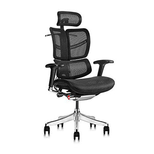 Ergonomic Office Chair with Headrest Adj and Tilt Limiter | Backrest Height Adj | Seat Depth Adj | 3-Dimensional Dynamic Backrest and Lumbar Support | Aluminum Frame/Base with Standard Carpet Casters