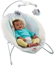 Load image into Gallery viewer, Fisher-Price Moonlight Meadow Deluxe Bouncer
