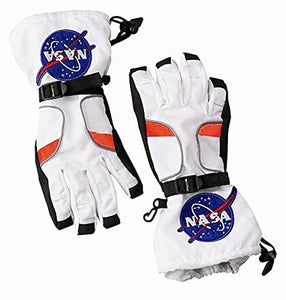 Aeromax Astronaut Gloves, size Large, White, with NASA patches, (ASG-Lrg)