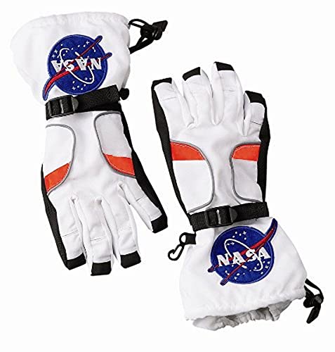 Aeromax Astronaut Gloves, size Large, White, with NASA patches, (ASG-Lrg)