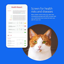 Load image into Gallery viewer, Basepaws Cat DNA Test | Breed + Health + Dental Report | Top Cat Breeds &amp; 115 Health &amp; Trait Markers | As Seen On Shark Tank
