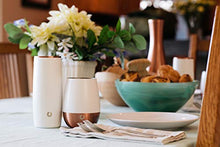 Load image into Gallery viewer, SNOWFOX Insulated Stainless Steel Wine Glasses, Chardonnay, Set of 2, White/Gold
