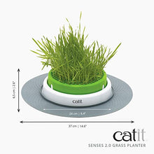 Load image into Gallery viewer, Catit Senses 2.0 Cat Grass Planter, Interactive Cat Toys
