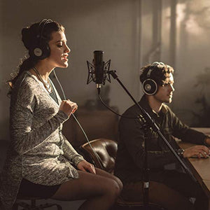 AKG P120 High-Performance General Purpose Recording Microphone