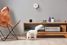 Load image into Gallery viewer, Petcube [2017 Item] Play Smart Pet Camera with Interactive Laser Toy. Remote Dog/Cat Monitoring with HD 1080p Video, Two-Way Audio, Night Vision, Sound/Motion Alerts. App-Enabled Pet and Home Safety

