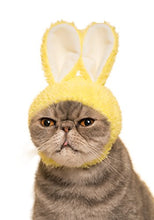 Load image into Gallery viewer, Kitan Club Cat Cap - Pet Hat Blind Box Includes 1 of 5 Cute Styles - Soft, Comfortable - Authentic Japanese Kawaii Design - Animal-Safe Materials, Premium Quality (Rabbit)
