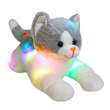 Load image into Gallery viewer, Houwsbaby Light up Kitty Stuffed Animal Cat Floppy LED Plush Toy Kitten Night Lights Glow Pillow Birthday Gifts for Kids Toddler Girls, Gary, 15''
