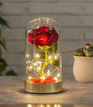 Load image into Gallery viewer, HOMESEASONS Red Rose in Glass Dome,Beauty and The Beast Red Rose Pre-Lit Silk Rose 7 3/4" H (Metal Base)
