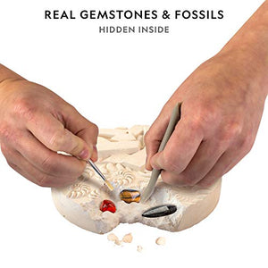 NATIONAL GEOGRAPHIC Mega Fossil and Gemstone Dig Kits - Excavate 10 Real Fossils and 10 Real Gems, Great STEM Science Gift for Mineralogy and Geology Enthusiasts of Any Age