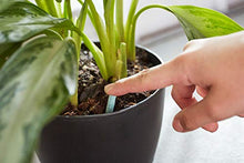 Load image into Gallery viewer, Miracle-Gro Indoor Plant Food Spikes, Includes 24 Spikes - Continuous Feeding for all Flowering and Foliage Houseplants - NPK 6-12-6
