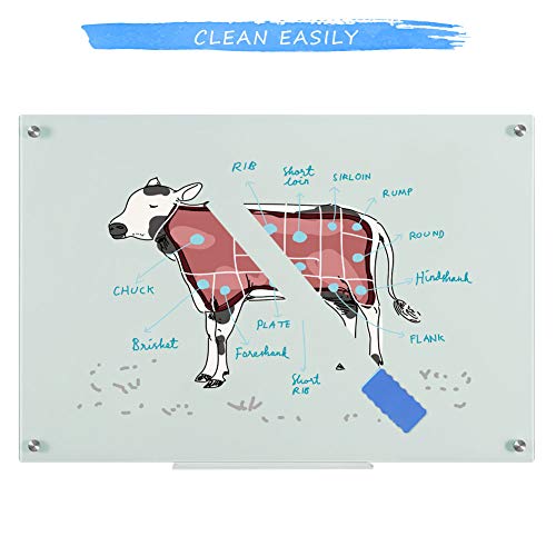 Load image into Gallery viewer, QUEENLINK,Magnetic Glass Board,Glass Whiteboard Board, 36x 24 Inches Glass Dry Erase White Board, 3 Magnets Included, Normal White
