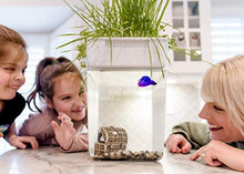 Load image into Gallery viewer, Back to the Roots Water Garden, Self-Cleaning Fish Tank That Grows Food, Mini Aquaponic Ecosystem (Great Gardening Gift &amp; Family Project), 3 Gallons

