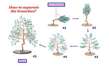 Load image into Gallery viewer, Jovivi Amethyst Amazonium Crystal Quartz Money Tree Chipped Tumbled Gemstones on Geode Agate Slices Base Feng Shui Ornaments Home Living Room Table Office Decoration for Wealth and Luck
