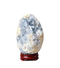 Load image into Gallery viewer, AMOYSTONE Natural Blue Celestite Cluster Geode Egg with Base for Healing Reiki Home Decors Medium, Height 2.5-3"
