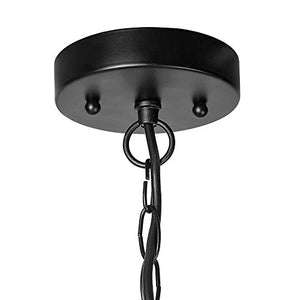 LALUZ Outdoor Hanging Lantern Porch Painted Black Metal with Clear Bubbled Glass Globe in Iron Cage Frame, 1-Light Light, 10.2" Exterior Pendant Lighting for Garage