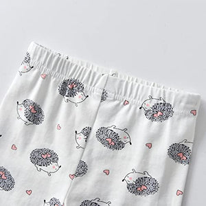 Baby Girls Clothes Set 2 Piece Long Sleeve Cartoon Hedgehog Infant Outfits (0-6 Months) Pink