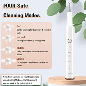 Plaque Remover for Teeth, Electric Tooth Cleaner Tartar Remover for Teeth with LED Light,4 Modes Rechargeable Teeth Cleaning Kit with Dental Tools, 2 Replaceable Heads
