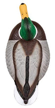 Load image into Gallery viewer, Flambeau Outdoors 1812DPK Masters Series Mallard Decoys, Classic Floaters - 12-Pack
