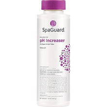 Load image into Gallery viewer, Spa and Hot Tub Chemical Balancer Maintenance Kit - Contains Scum Absorber, SpaGuard Total Alkalinity Increaser, Calcium Increaser, pH Increaser and pH Decreaser (5 Items)
