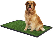 Load image into Gallery viewer, Prevue Pet Products Tinkle Turf for Large Dog Breeds
