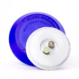 Xlure Beetle Floor Trap 1 trap jfo-1016