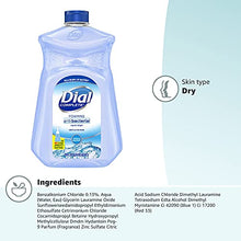 Load image into Gallery viewer, Dial Complete Antibacterial Foaming Hand Soap, Spring Water, 52 Fl Oz, Pack of 1
