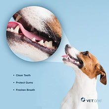 Load image into Gallery viewer, VetOne DuoClenz Enzyme Coated Dog Dental Chews for Large Dogs - Veterinarian Formulated - 30 Count
