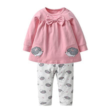 Load image into Gallery viewer, Baby Girls Clothes Set 2 Piece Long Sleeve Cartoon Hedgehog Infant Outfits (0-6 Months) Pink
