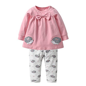 Baby Girls Clothes Set 2 Piece Long Sleeve Cartoon Hedgehog Infant Outfits (0-6 Months) Pink