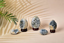 Load image into Gallery viewer, AMOYSTONE Natural Blue Celestite Cluster Geode Egg with Base for Healing Reiki Home Decors Medium, Height 2.5-3"
