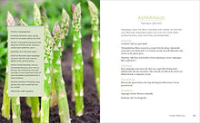 Load image into Gallery viewer, Raised-Bed Gardening for Beginners: Everything You Need to Know to Start and Sustain a Thriving Garden
