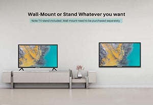 SANSUI 24 Inch TV 720P Basic S24 LED HD TV High Resolution Flat Screen Television Built-in HDMI,USB,VGA Ports - Refresh Rate 60Hz (2020 Model)