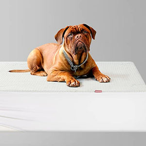 Jet's Home King Waterproof Mattress Protector Mattress Pad Cover,Soft Breathable Machine Washable Bamboo Mattress Cover, Quiet Non Noisy Bed Cover with Deep Pocket Fits Up to 17”