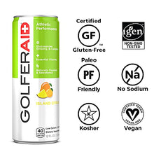 Load image into Gallery viewer, GOLFERAID Performance Blend, Up Your Golf Game, No Caffeine, Glucosamine, Turmeric, MSM, CoQ10, B-Complex, BCAAs and Electrolytes, 40 Calories, 100% Clean, Paleo, Vegan, 12-oz. cans (Pack of 12)
