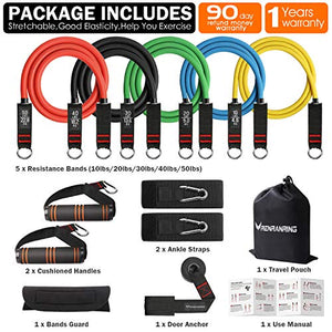 RENRANRING Resistance Bands Set, Exercise Bands with Stackable Workout Bands, Door Anchor Attachment, Handles, Legs Ankle Straps, Carry Bag for Fitness