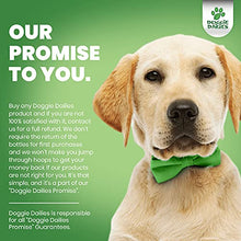 Load image into Gallery viewer, Doggie Dailies Probiotics for Dogs, 225 Soft Chews, Advanced Dog Probiotics with Prebiotics, Promotes Digestive Health, Supports Immune System and Overall Health (Pumpkin)
