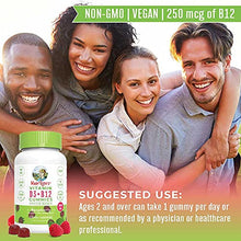 Load image into Gallery viewer, Vitamin D3 + Vitamin B12 | Sugar Free | 2 Month Supply | Vitamin D &amp; B12 Vitamin Gummy Supplements for Adults &amp; Kids | Supports Bone Health | Energy Boost | Vegan | Non-GMO | Gluten Free | 60 Servings

