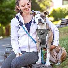 Load image into Gallery viewer, Kurgo Dog Harness | Pet Walking Harness | No Pull Harness Front Clip Feature for Training Included | Car Seat Belt | Tru-Fit Quick Release Style | Large | Grey
