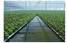 Load image into Gallery viewer, 1.5 inch Rockwool/Stonewool Grow Cubes Starter Sheets for Cuttings, Cloning, Plant Propagation, Seed Starting Hydroponic Grow Media Growing Medium for Vigorous Plant Growth (28, 1.5)
