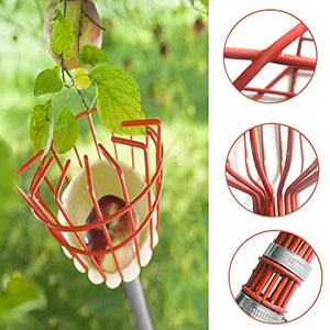 COCONUT Fruit Picker Tool, Fruit Picker with Basket and Pole Easy to Assemble & Use Fruits Catcher Tree Picker for Getting Fruits(5ft)