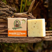 Load image into Gallery viewer, Dr. Squatch All Natural Bar Soap for Men, 5 Bar Variety Pack - Aloe, Cedar Citrus, Gold Moss, Pine Tar and Bay Rum
