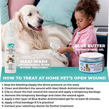 Load image into Gallery viewer, Forticept Blue Butter Antimicrobial Gel, Antiseptic Hydrogel Dogs Wound Care, Dogs &amp; Cats for Skin Infections, Rashes, Sores, Wounds, Burns | 4 OZ
