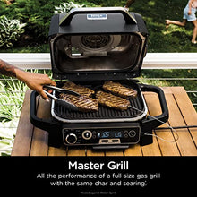 Load image into Gallery viewer, Ninja OG751 Woodfire Pro Outdoor Grill &amp; Smoker with Built-In Thermometer, 7-in-1 Master Grill, BBQ Smoker, Air Fryer, Bake, Roast, Dehydrate, Broil, Ninja Woodfire Pellets, Portable, Electric, Grey
