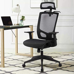 Statesville Ergonomic Mesh Office Chair - High Back Adjustable Backrest Armrest Headrest Computer Desk Chair with Coat Hanger, Black