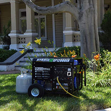 Load image into Gallery viewer, DuroMax XP12000EH Dual Fuel Electric Start Portable Generator, Blue and Black
