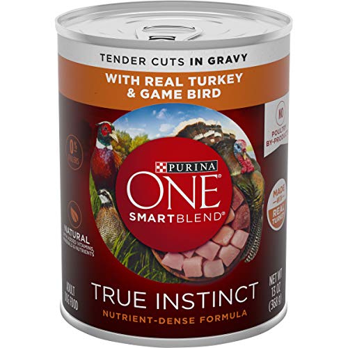 Purina ONE Natural, High Protein Gravy Wet Dog Food, SmartBlend True Instinct Turkey & Game Bird - (12) 13 oz. Cans