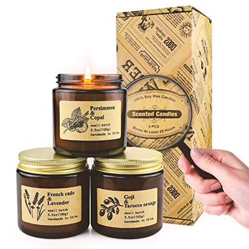 YMing Scented Candles, Aromatherapy Candles, Gifts for Women, Highly Scented and Long Burning Vintage Jar Soy Candles, French Cade & Lavender, Persimmon & Copal, Goji Berry & Tarocco Orange[3 Pack]