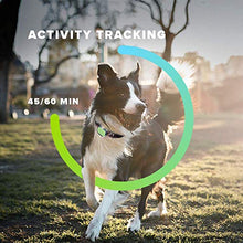 Load image into Gallery viewer, Whistle FIT - Pet Health and Fitness Tracker - Nutrition, and Activity Tracking, Waterproof, Monitors Licking, Scratching, Drinking, and Sleeping - Not a GPS, for Dogs
